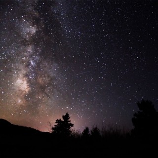 stardust_crop